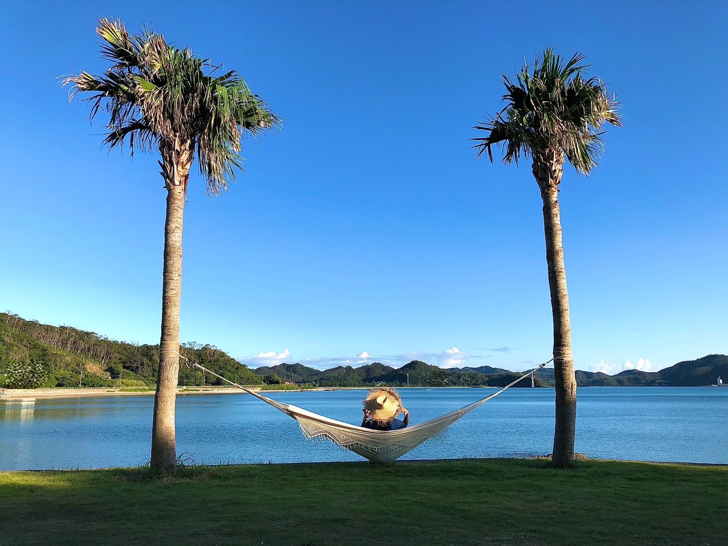 夜のプロジェクター利用